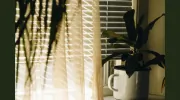 April Blinds