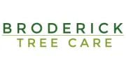 Broderick Tree Care
