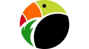 Toucan Painting Projects