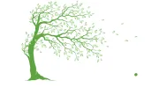 Arboricultural Services Treework
