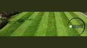 Dan Frazer Gardening