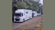Comprehensive Removals