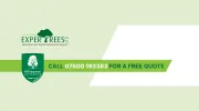 Expertrees