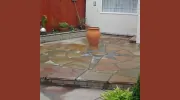 Tayview Landscapes