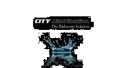 City Distribution