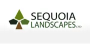Sequoia Landscapes