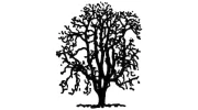 North East Tree Services