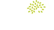 Ringrose Tree Services