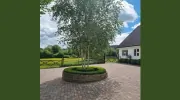 Parklane Landscaping