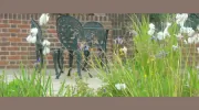 Garden Inspiration