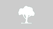 Oaklands Tree Specialists
