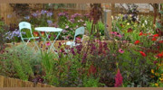 Rebecca Webb Garden Designs