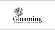 Gloaming Tree Surgery