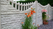 Bentinck Fencing