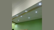 Suspended Ceilings