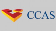 Castons Construction Advisory Service