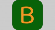 Brandon Landscaping