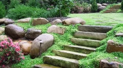 Devon Tree & Landscaping
