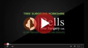 Bells Tree Surgery