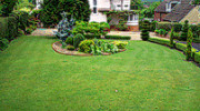 Oxford Garden