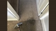 MD Upholstery & Carpet Cleaning
