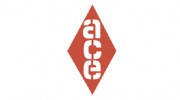 ACE Style Blinds