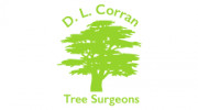 Tree Surgeons Abergavenny