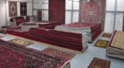 Oriental Rug Shop