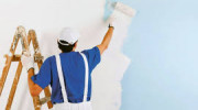 The Paint Trust
