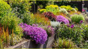 Lempsink Garden Design