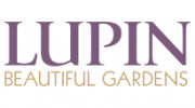 Lupin Gardening