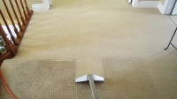 Carpet Cleaning