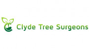 Clyde Tree Surgeons Glasgow