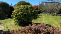 Garden & Tree Maintenance